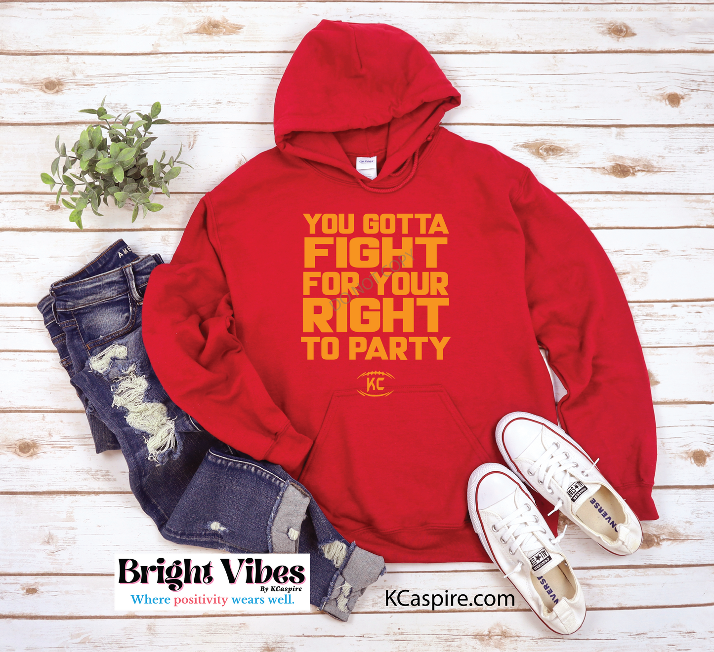 Fight For Your Right Hoodie